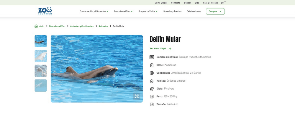 código promoción Zoo Aquarium de Madrid