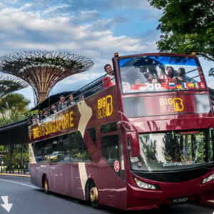 Big Bus Tours