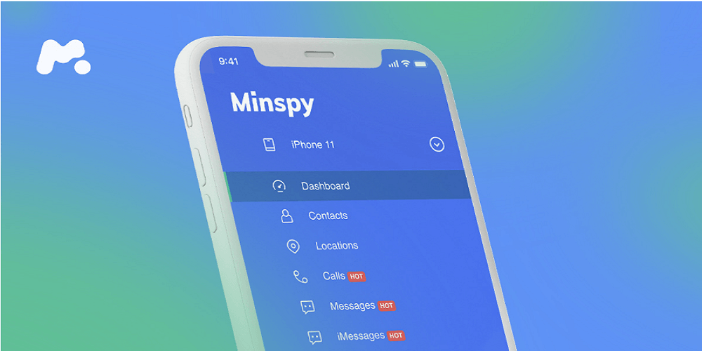 how to use mspy coupon